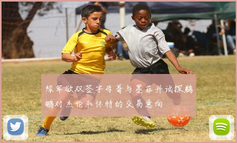 绿军欲双签字母哥与墨菲并试探鹈鹕对杰伦和怀特的交易意向